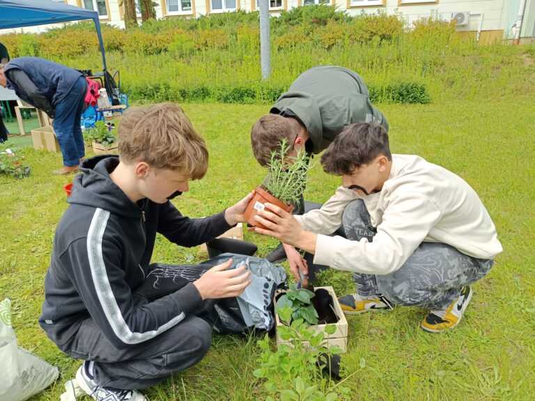 Ogródek w skrzynce